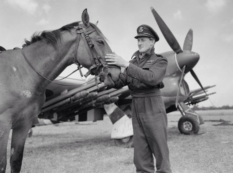 Canadian Hawker Typhoon Pilot Who Befriended A Local French Horse